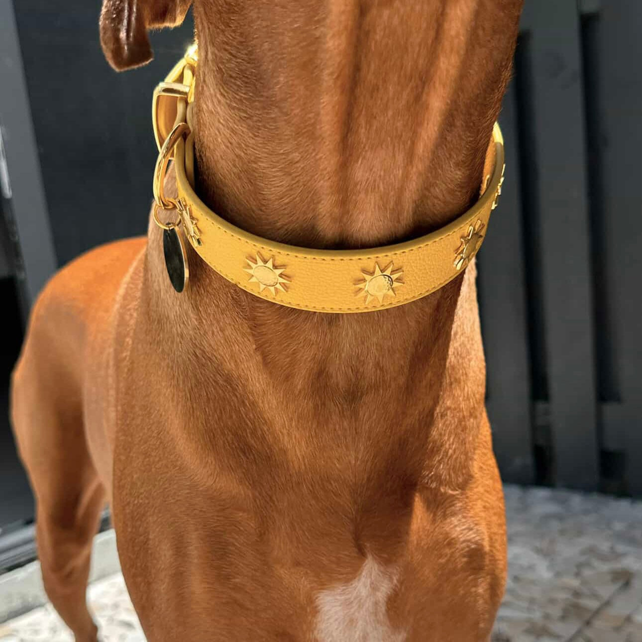 SOLEIL COLLAR IN MARIGOLD