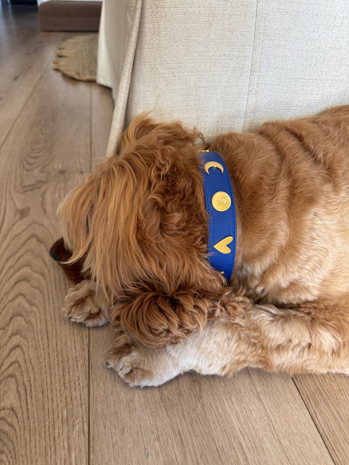 CALYPSO COLLAR IN INDIGO
