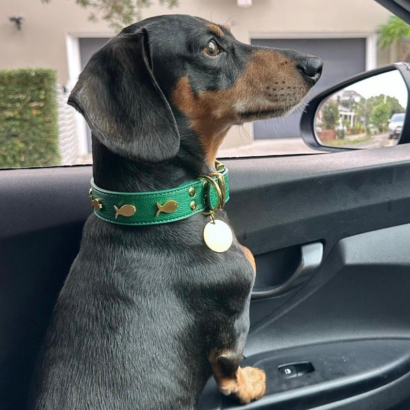 POSEIDON COLLAR IN FOREST